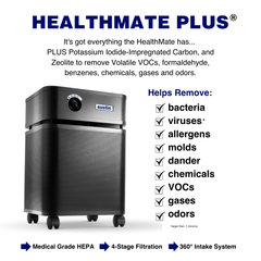 The Austin Air HealthMate Plus Air Purifier with 5 Year Filter