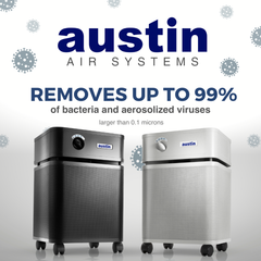 The Austin Air HealthMate Air Purifier